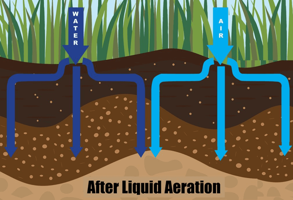 Soil after Liquid Aeration Process